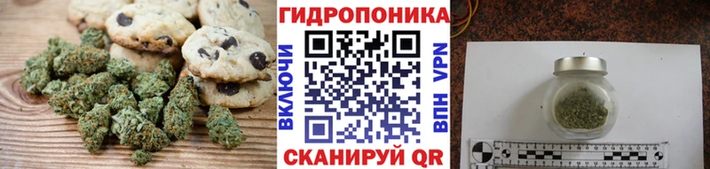 Canna-Cookies марихуана  Купить где  Рыльск 