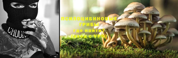 эйфоретик Дмитровск