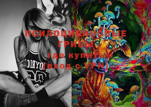 эйфоретик Дмитровск